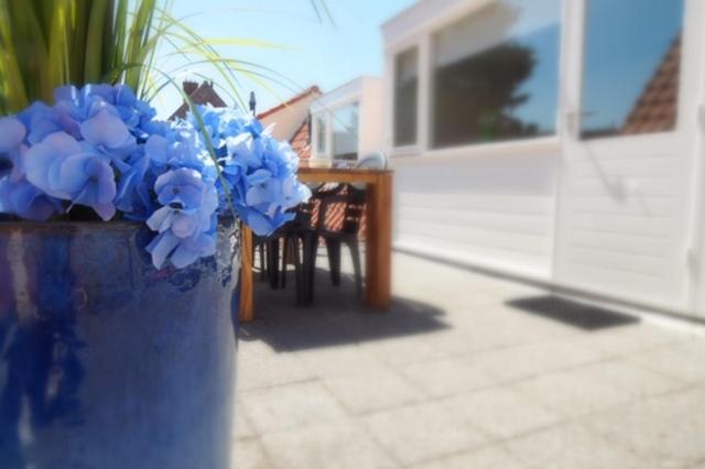 Sidestreet House Villa Zandvoort Exterior photo